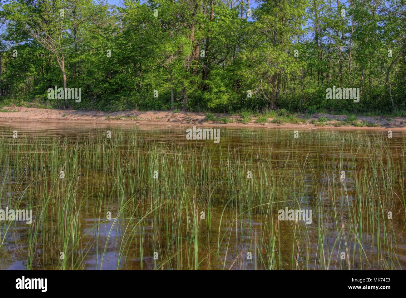 Bowstring Lake is Part of the Leech Lake Native American Reservation in