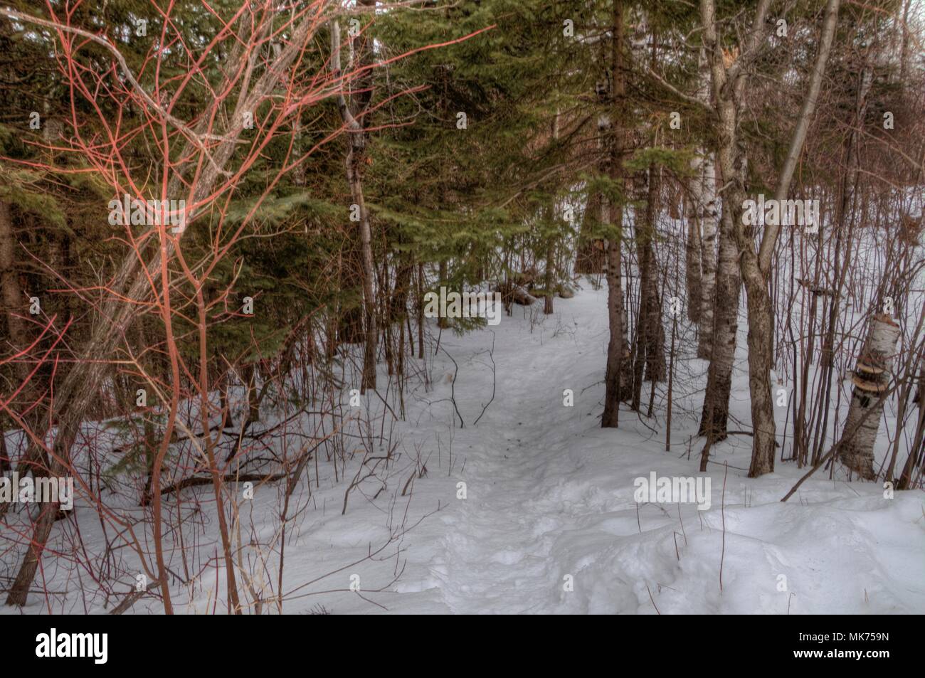Chester Park is a City Park in Duluth, Minnesota during Winter Stock