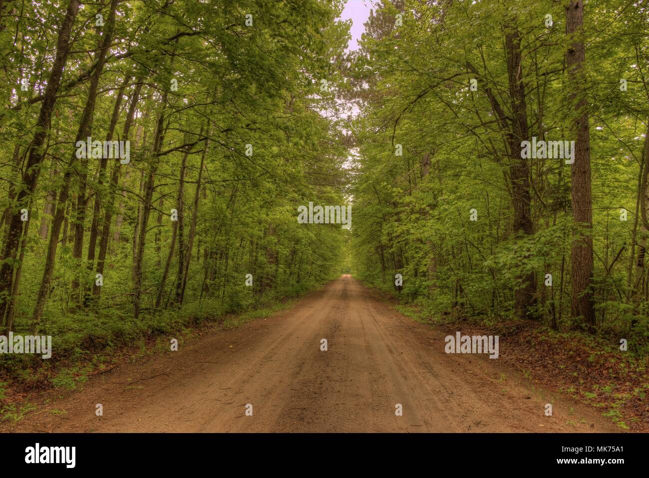 Bowstring Lake is Part of the Leech Lake Native American Reservation in