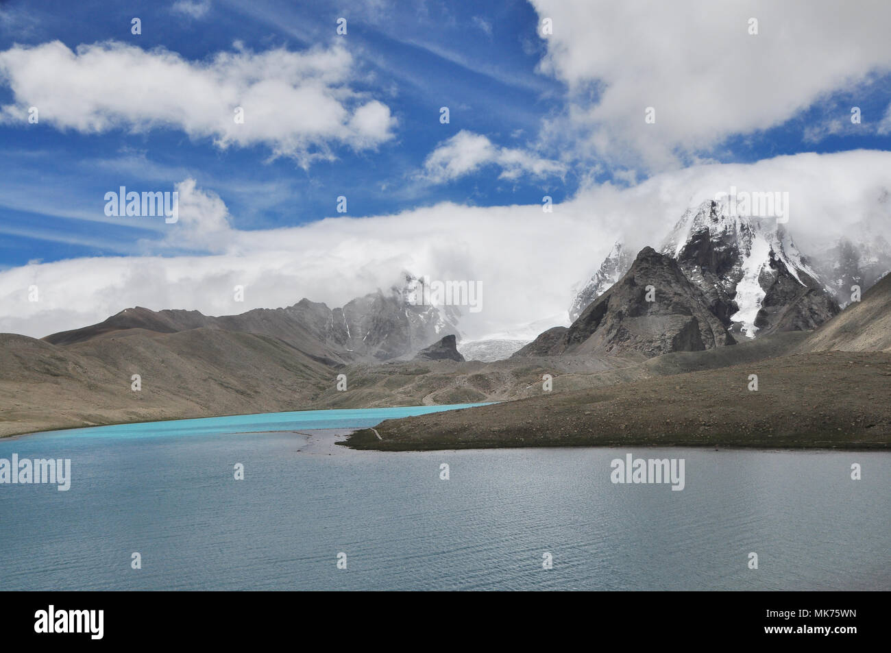 Sikkim Tree High Resolution Stock Photography and Images Alamy