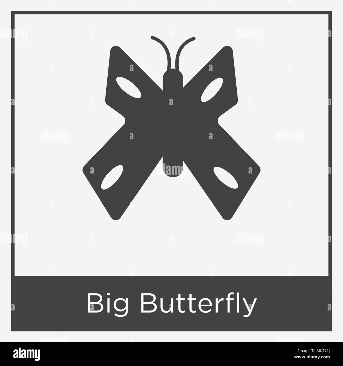 Big Butterfly icon isolated on white background with gray frame, sign ...