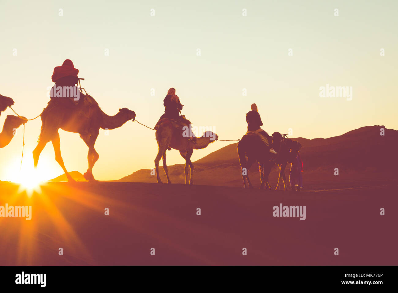 Camel caravan with people going through the sand dunes in the Sahara Desert. Morocco, Africa. - Stock Image
