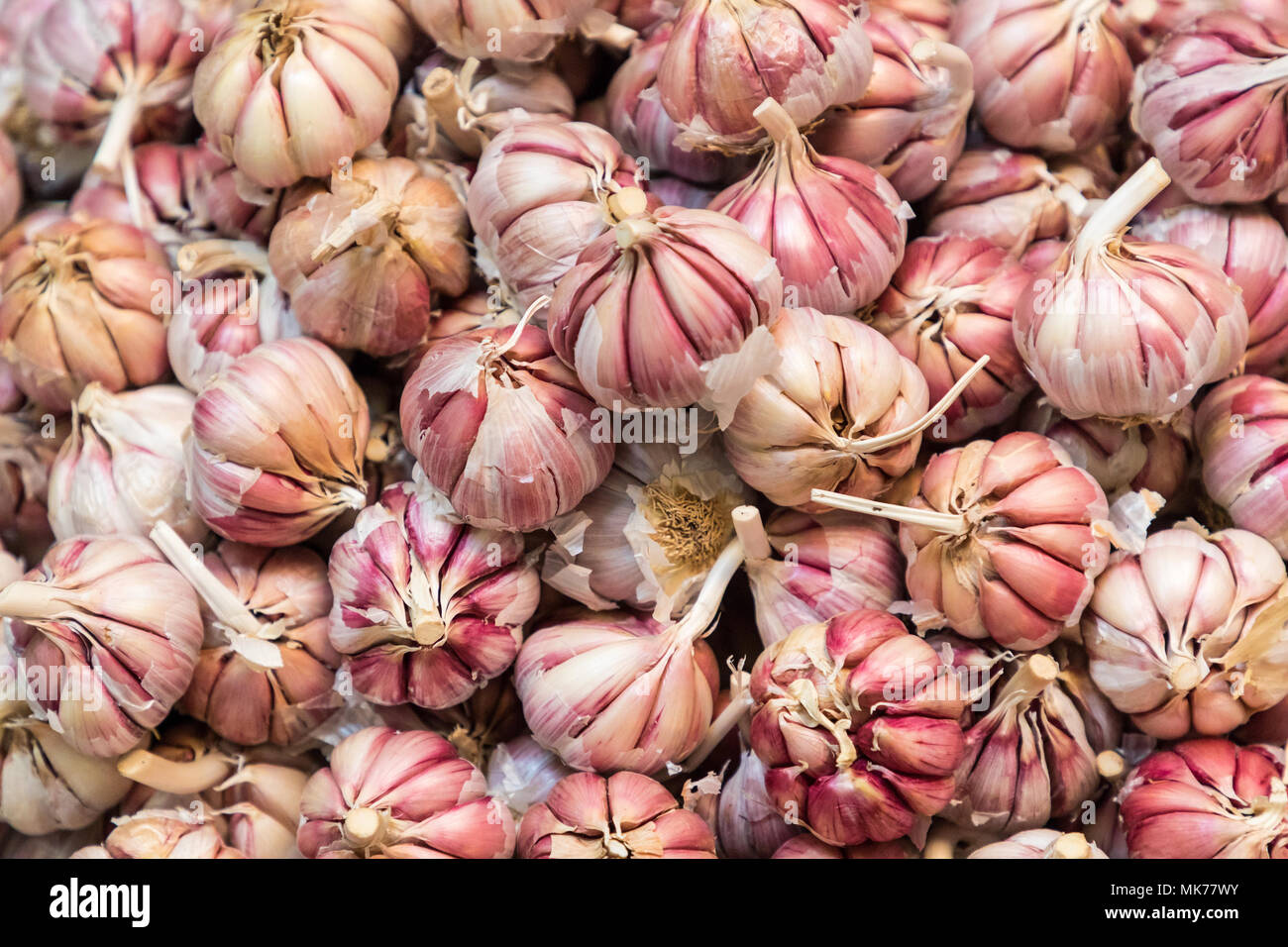 fresh garlics in a market Stock Photo - Alamy