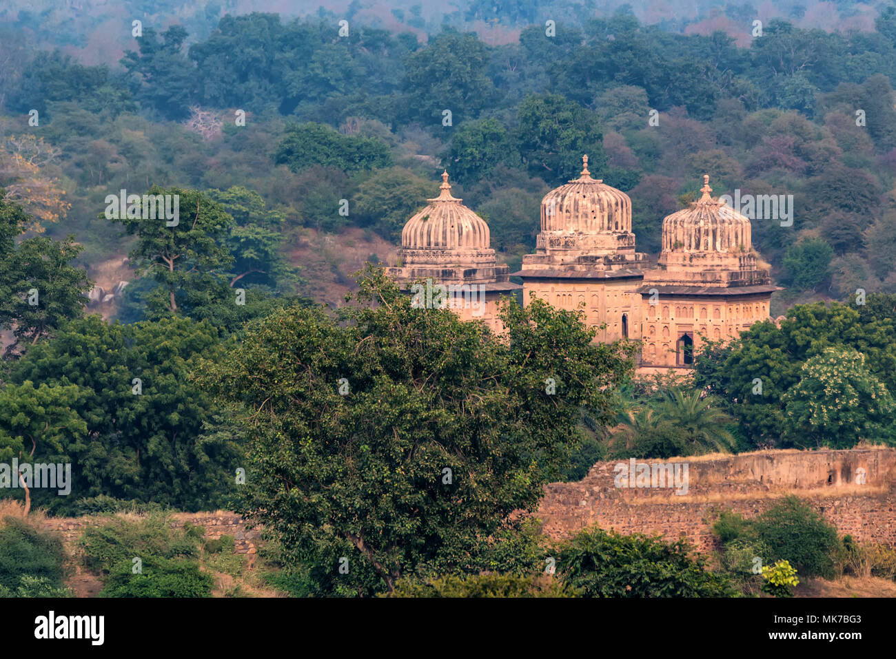 Chatris or Cenotaphs in Orchha, India Stock Photo