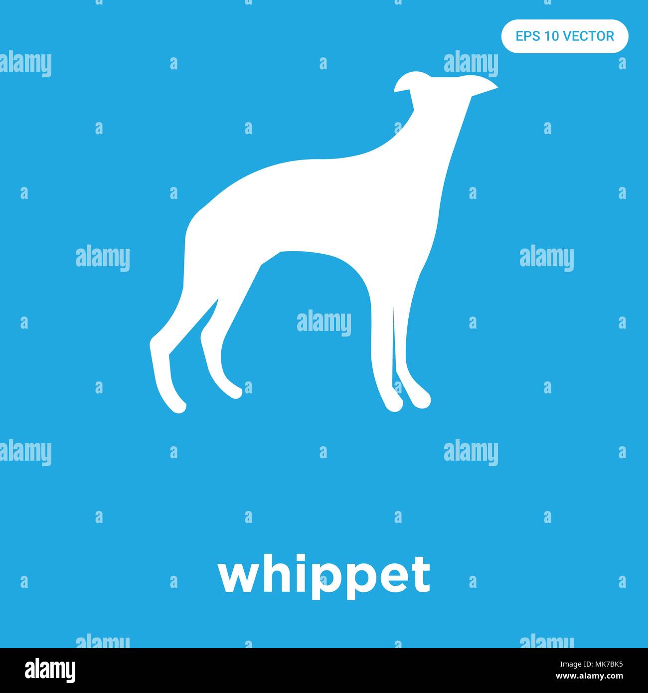 whippet vector icon isolated on blue background, sign and symbol Stock