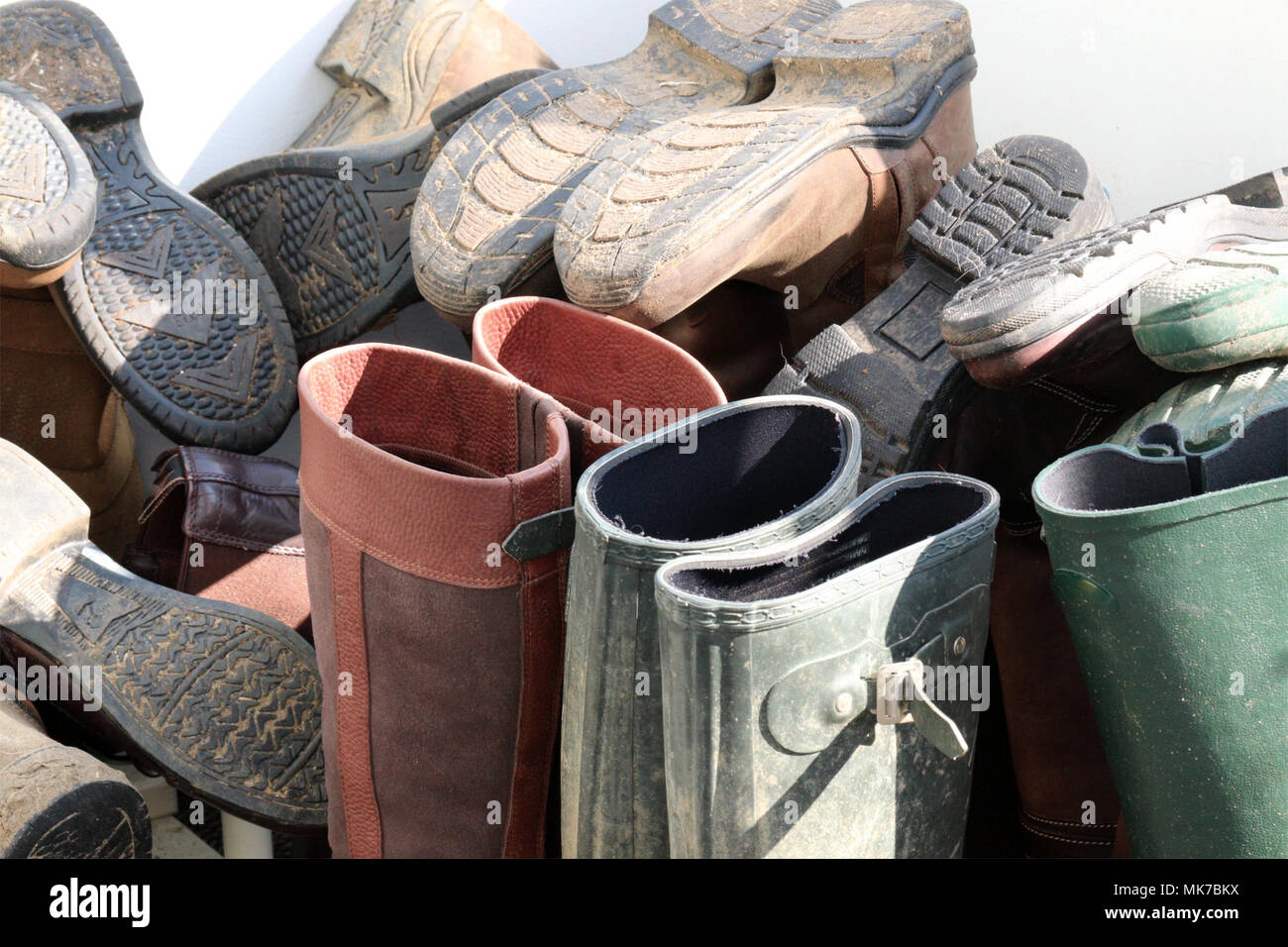 horse riding country boots