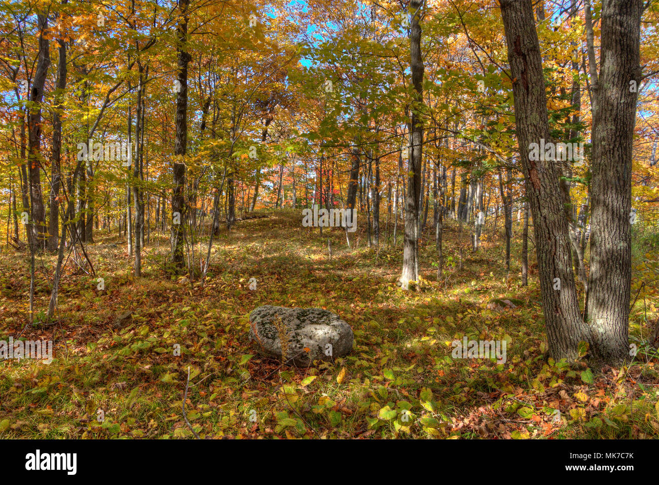 Bagley Nature Area is part of the University of Minnesota Duluth Campus