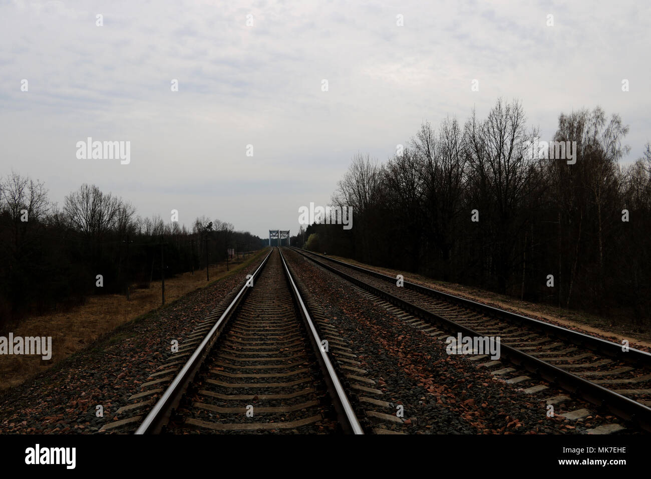 A railway along which trees grow with small clouds. Background Stock Photo