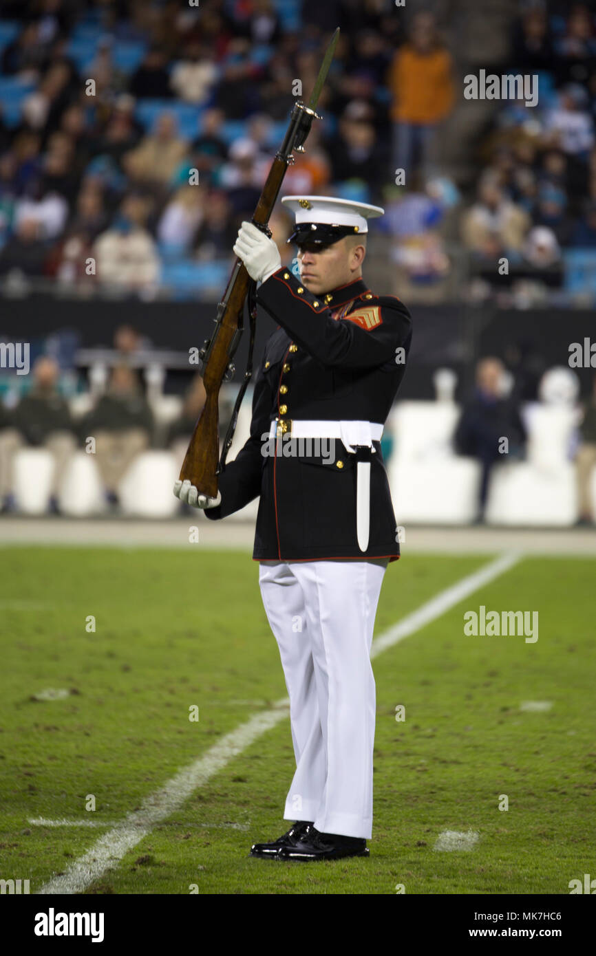 salute to service panthers