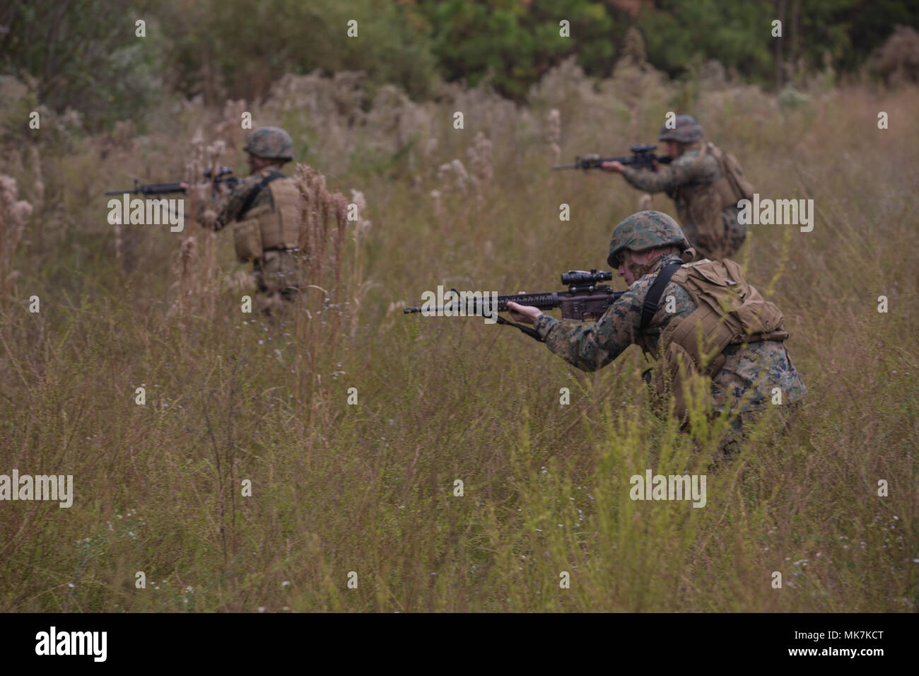 Artillery Marines with 2nd Battalion, 10th Marine Regiment react to enemy contact during a training patrol at Marine Corps Base Camp Lejeune, N.C., Nov. 14, 2017. Infantry Marines with 3rd Battalion, 8th Marine Regiment taught the artillerymen advanced patrolling tactics in preparation for their upcoming deployment. (U.S. Marine Corps photo by Lance Cpl. Ashley McLaughlin) Stock Photo