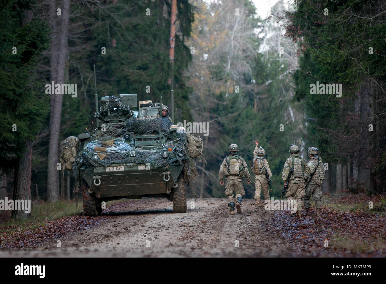 Soldiers from the 1st Squadron, 2nd Cavalry Regiment give the 'all-clear' to waiting vehicles to move forward and advance on mock enemy positions Nov. 18, 2017 during the Allied Spirit VII training exercise held in Grafenwoehr, Germany. The U.S. Army, along with its allies and partners, continues to forge a dynamic presence with a powerful land network that simultaneously deters aggression and assures the security of the region. Approximately 3,700 service members from 13 nations gathered in 7th Army Training Command’s Hohenfels Training Area in southeastern Germany to participate in the seven Stock Photo