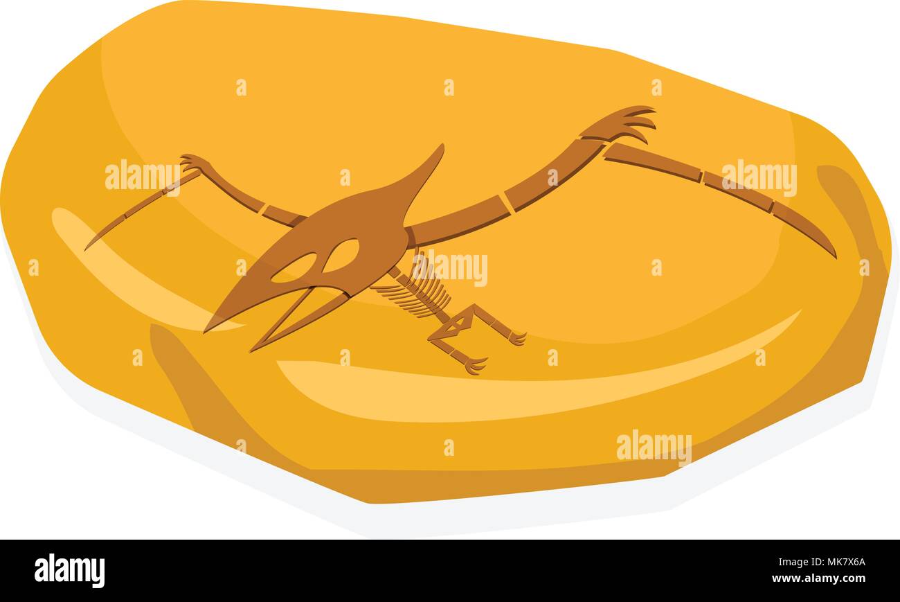 Pterosaurs bone in amber fossil, on white vector art Stock Vector