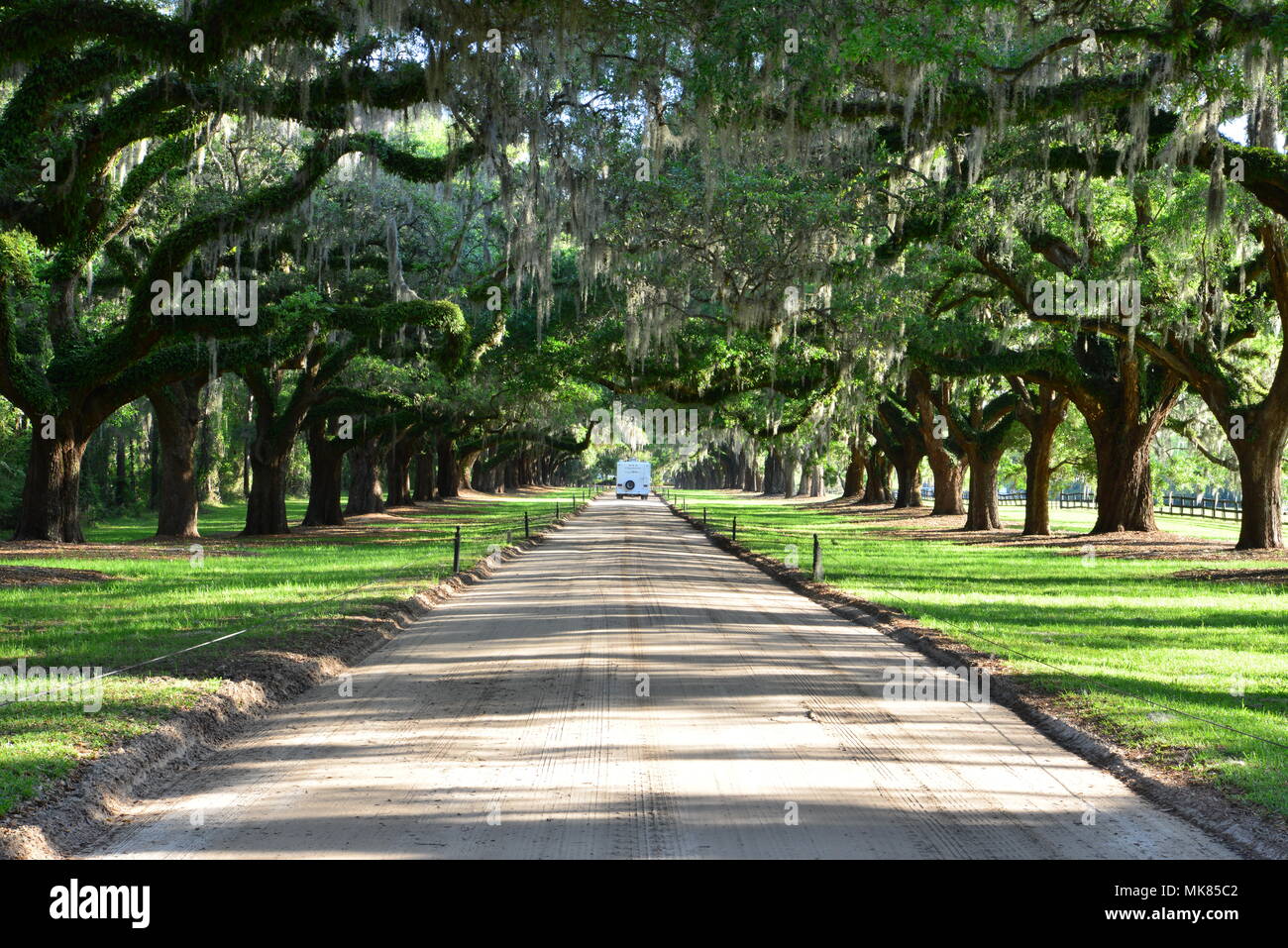 Avenue Of Oaks At Boone Hall In South Carolina Stock Photo - Alamy