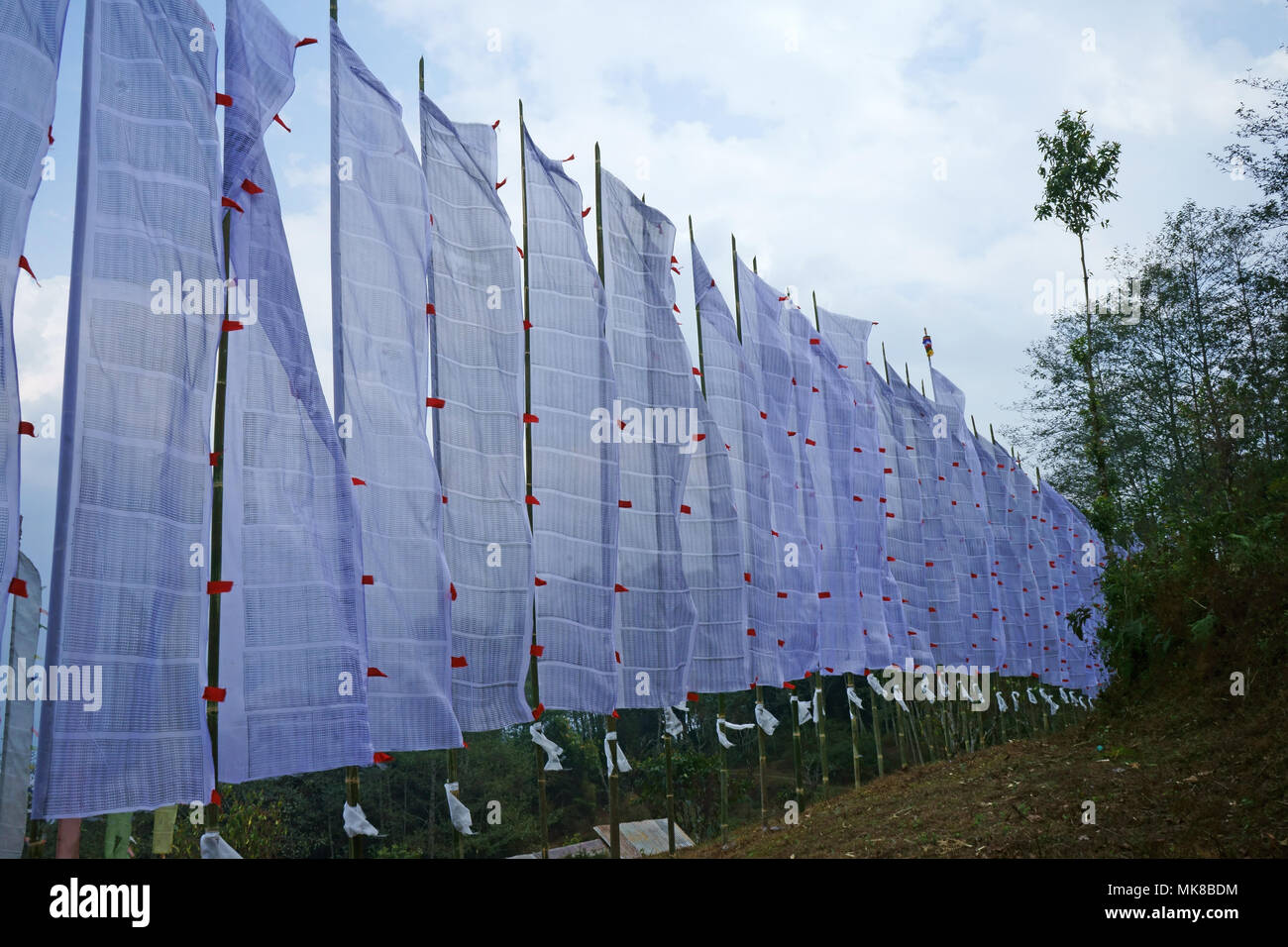 White prayer flags set up for mourichenpiorning death of family member, Richenpong, Sikkim, India Stock Photo