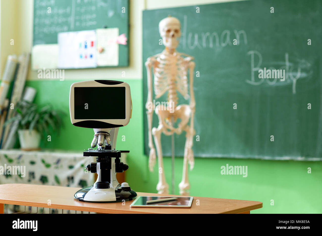 Biology classroom. Artificial human body skeleton, student desk with