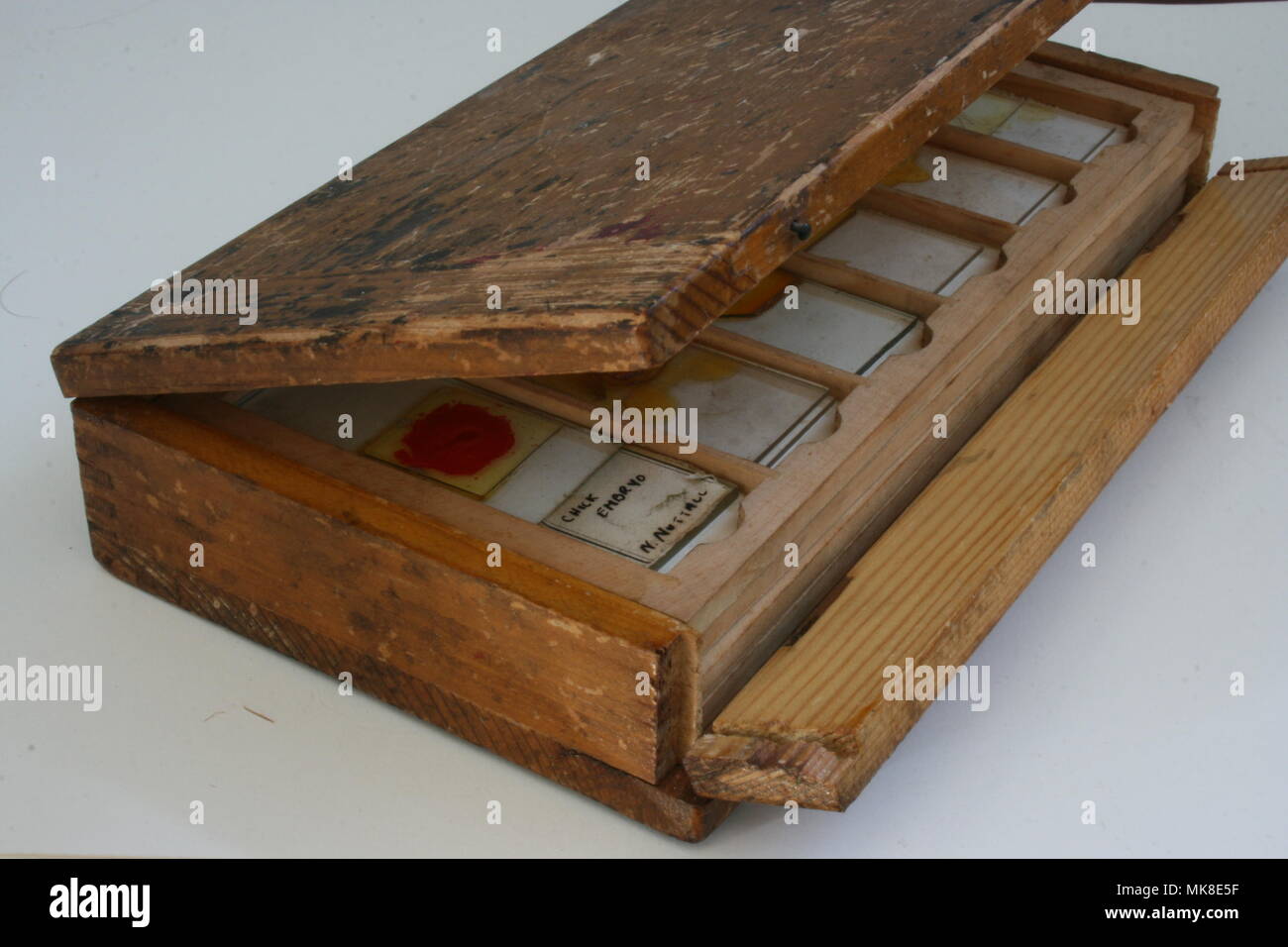 Microscope Slides in wooden tray and Box Stock Photo