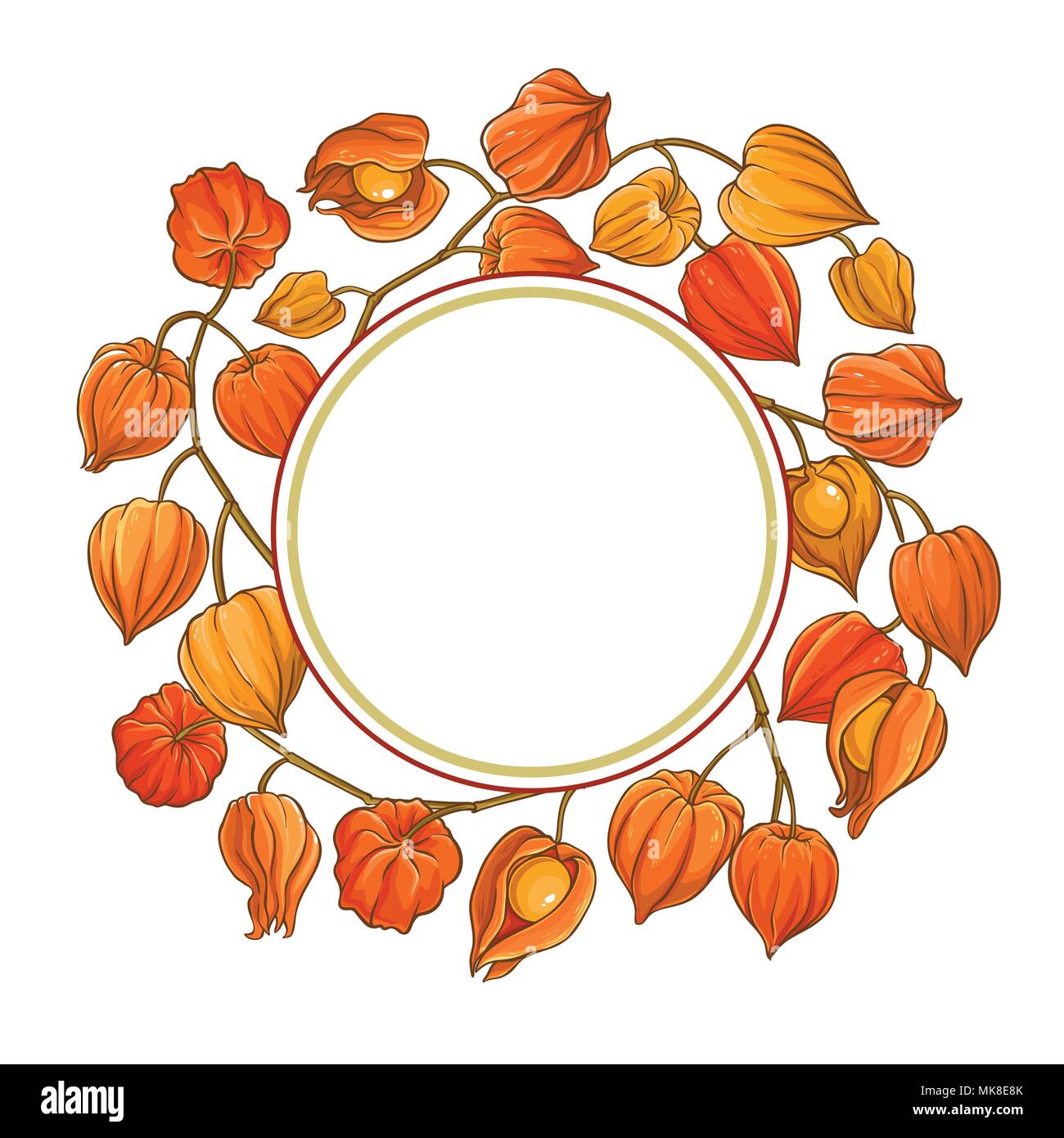 phisalis branch vector frame on white background Stock Vector
