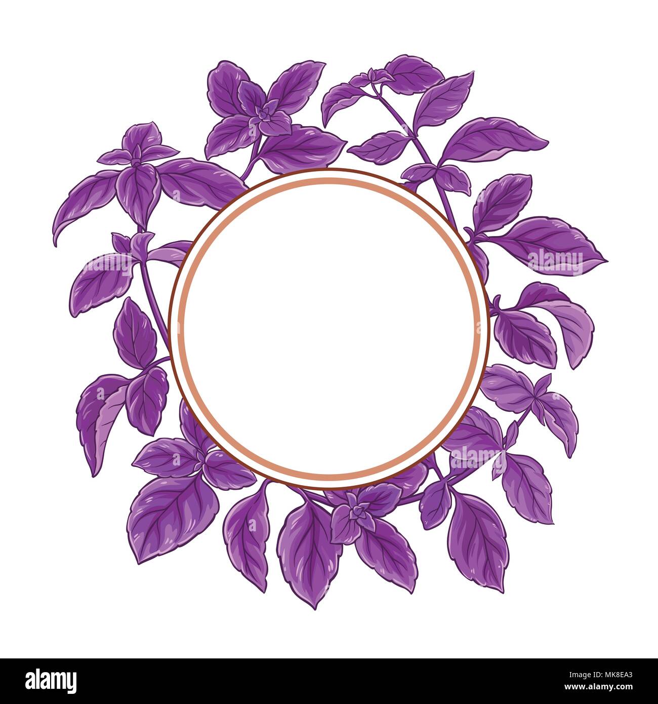 basil plant vector frame on white background Stock Vector