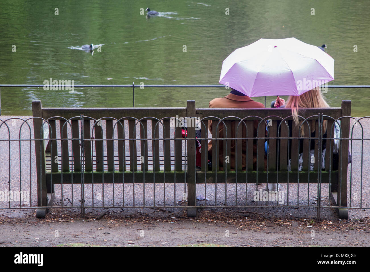 pink rain umbrella
