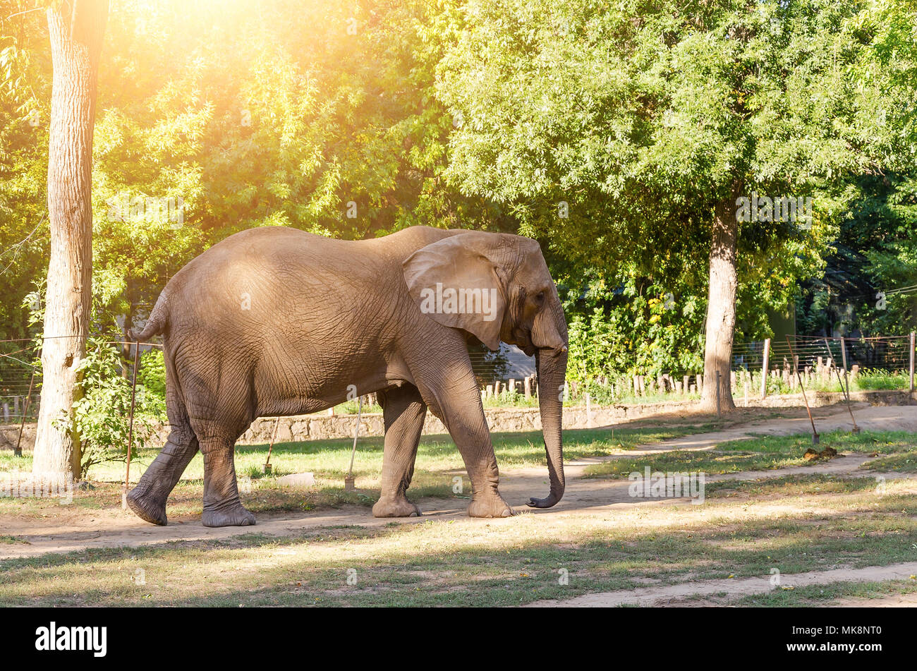 Zoo environment hi-res stock photography and images - Alamy