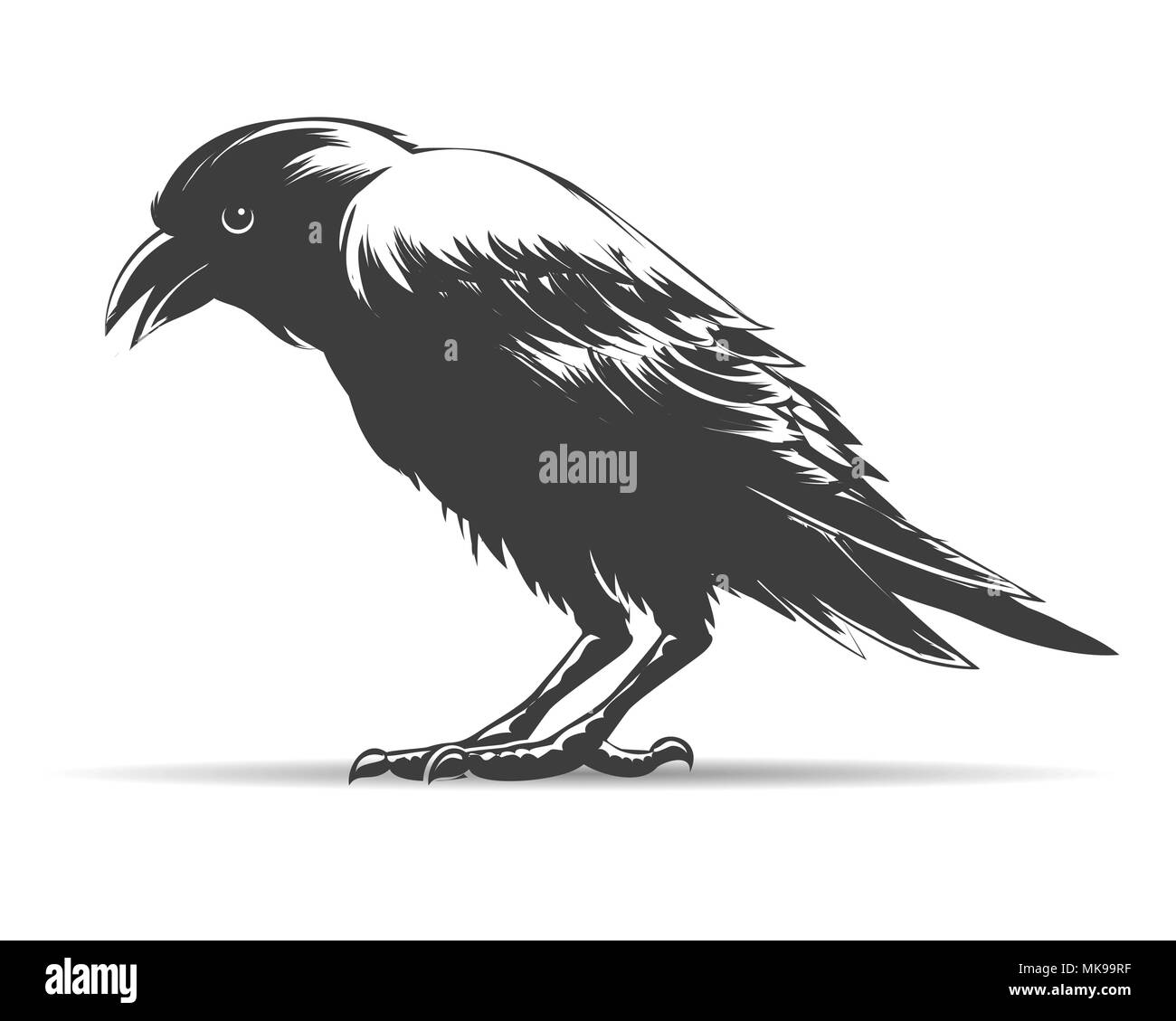 Hand Drawn Crow isolated on white. Vector illustration. Stock Vector