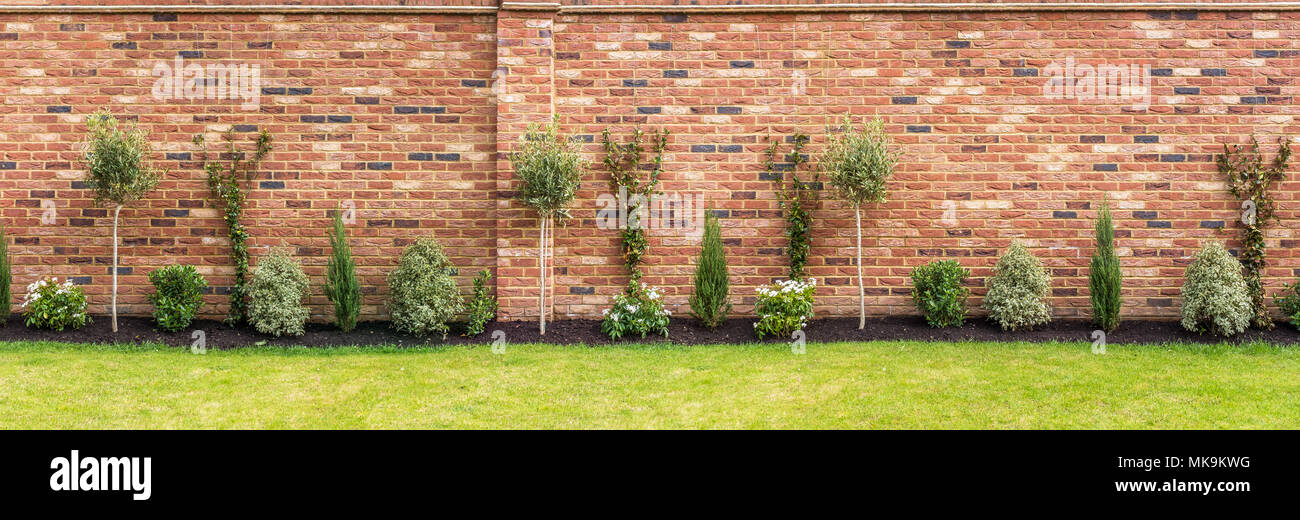 panoramic image of a newly planted garden or back yard of hardy trees, shrubs and creepers along a bedding in front of an impressive red brick surroun Stock Photo
