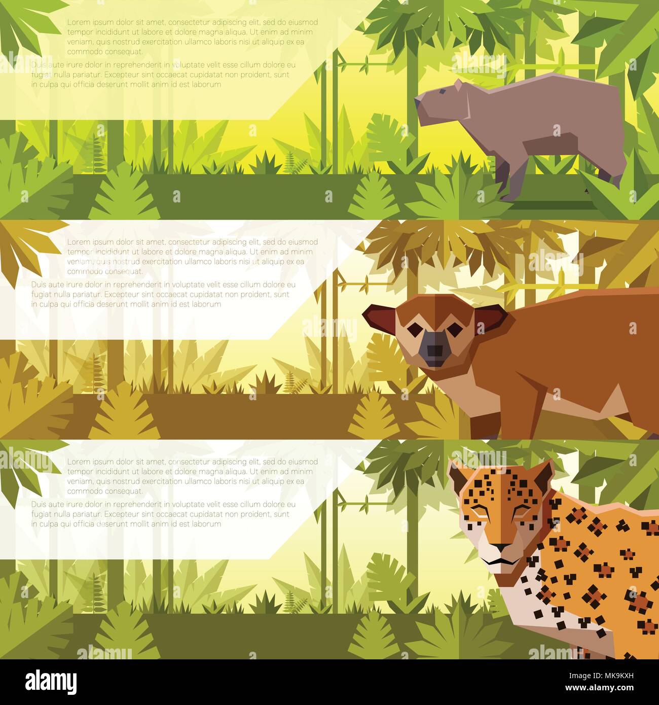 Vector image of the Set of banners with south america animals capybara, kinkajou and jaguar Stock Vector