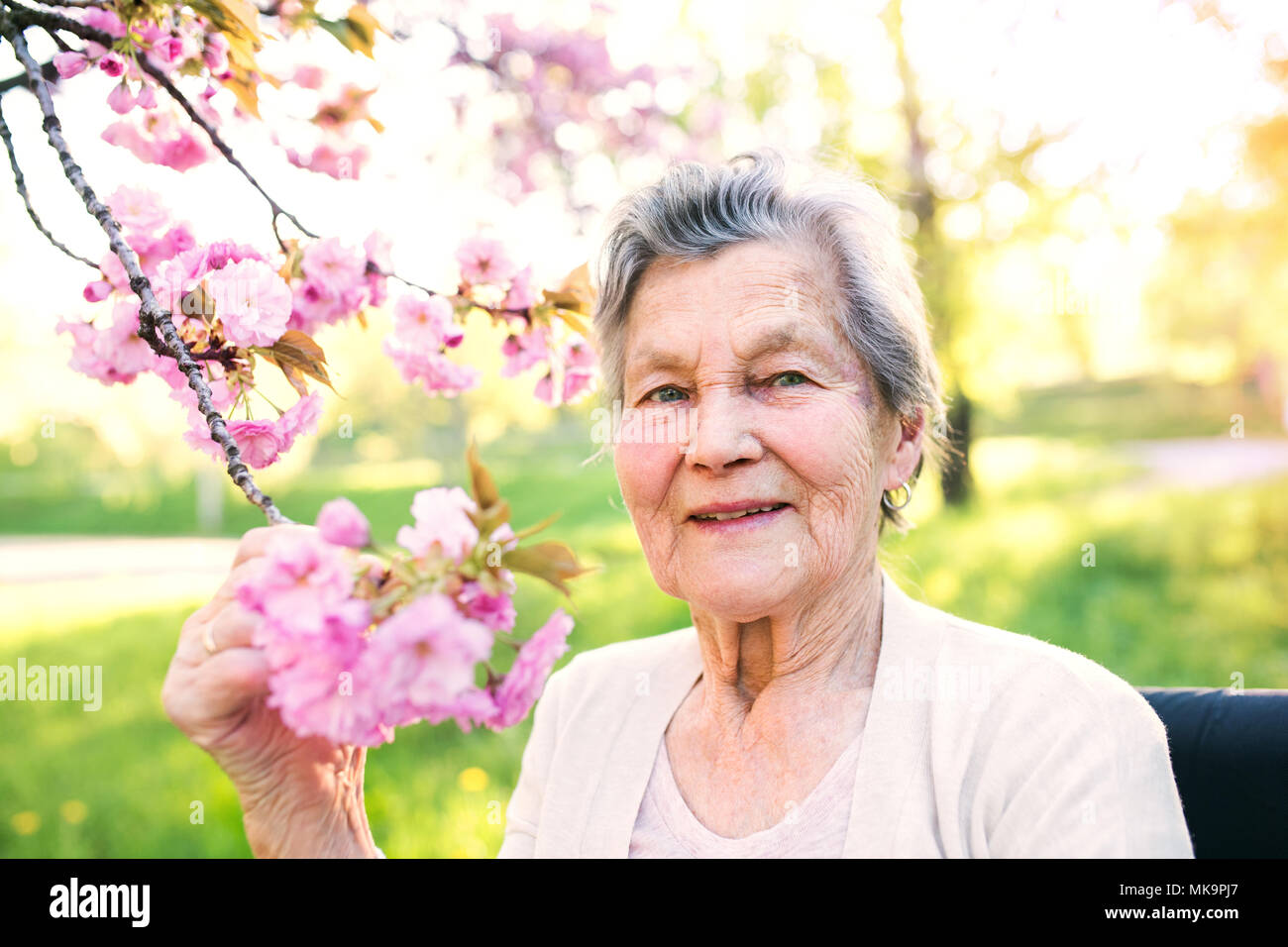 Elderly woman in wheelchair in spring nature. Stock Photo