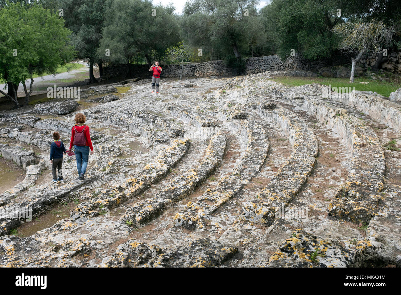 The Roman Amphitheatre in Alcudia, Mallorca, Spain - part of the Roman ruins of Pollentia. Stock Photo
