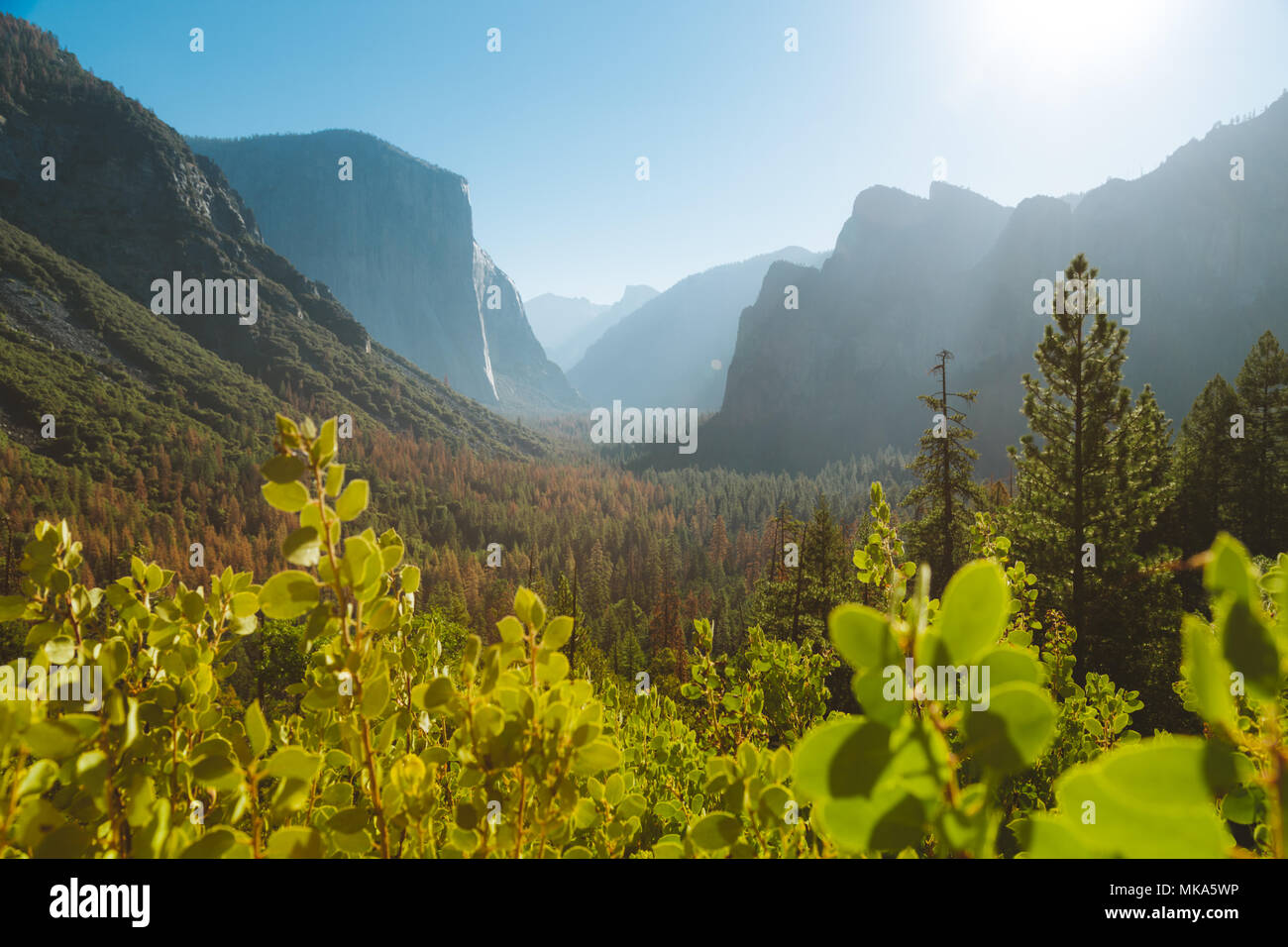 Panoramic view of famous Yosemite Valley Tunnel View in beautiful morning light at sunrise in summer, Yosemite National Park, Mariposa County, Califor Stock Photo