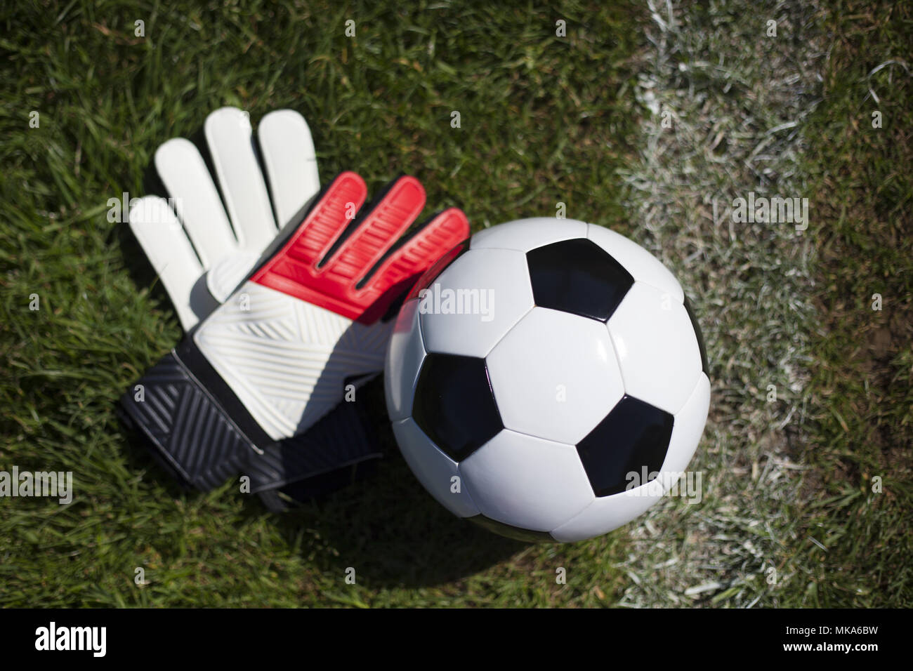 Soccer Goalie Gloves Holding A Ball
