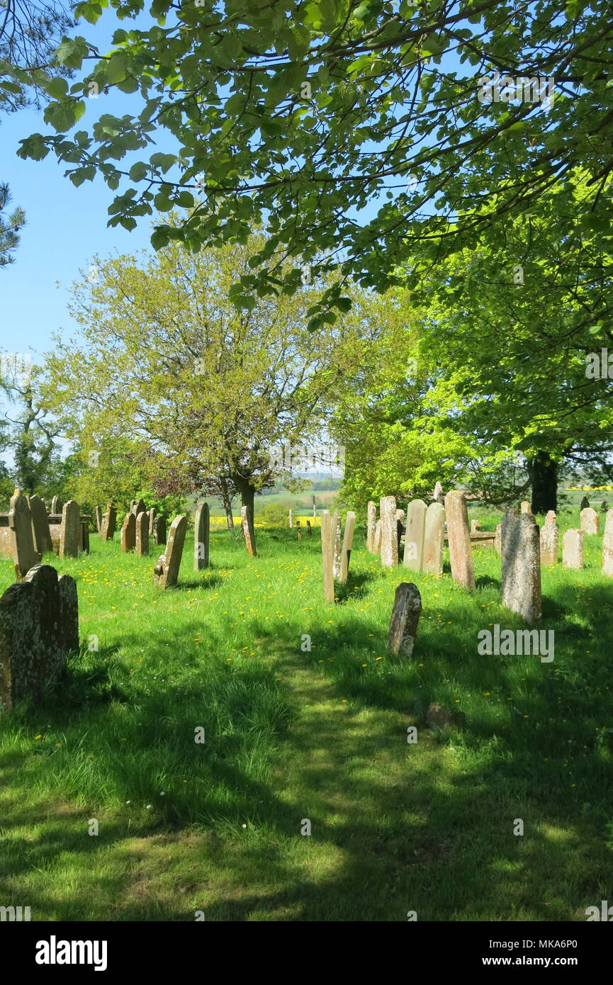 A Beautiful Scene Of Tranquillity And Sunshine In A Northamptonshire