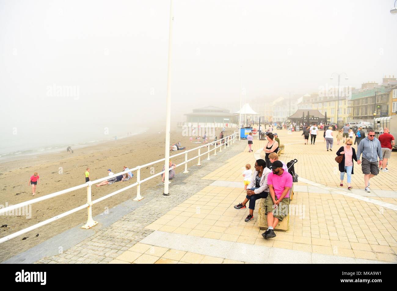 Newps hires stock photography and images Alamy