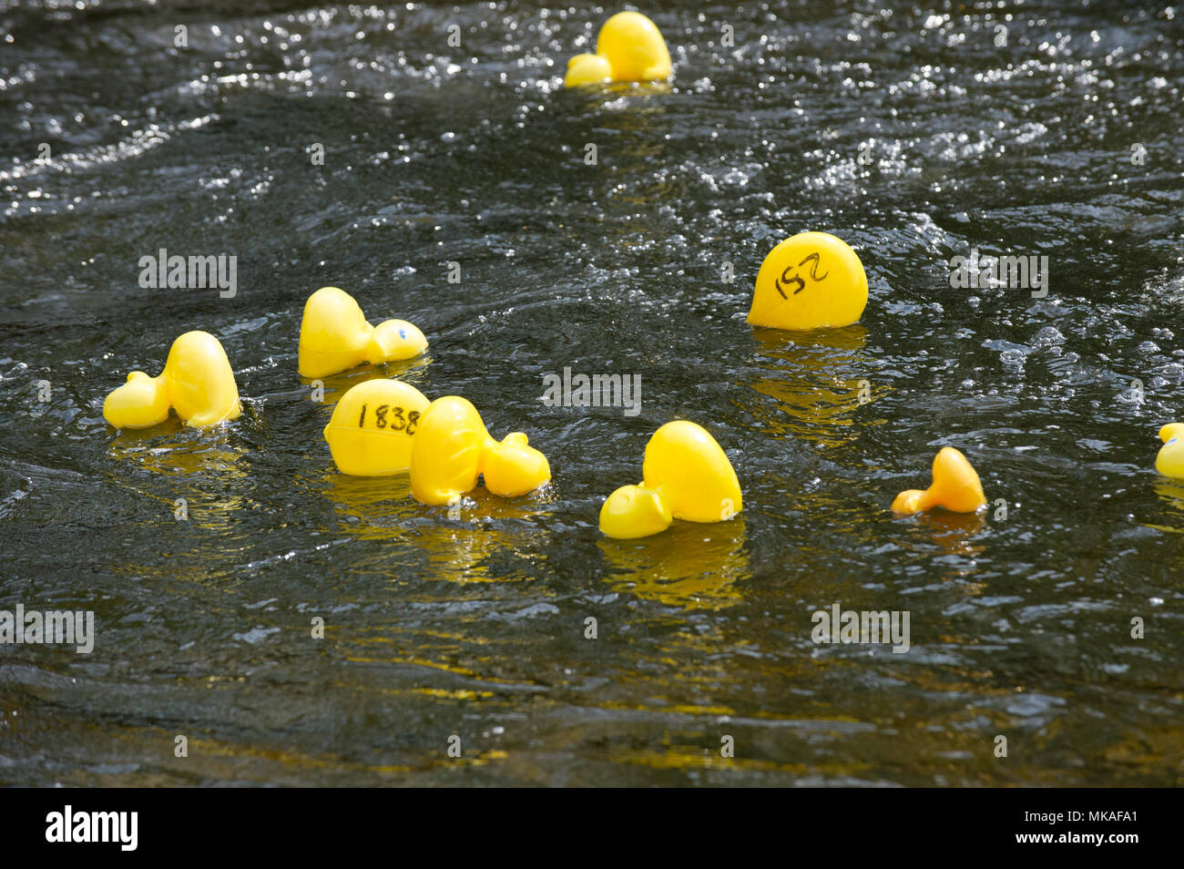 Richmond, England, U.K. 7th. May 2018. Thousands of plastics yellow
