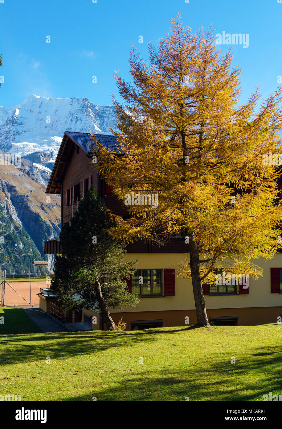 Chalet murren lauterbrunnen switzerland hi-res stock photography and ...