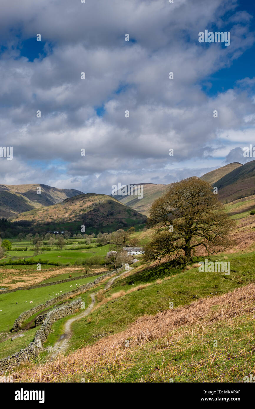 A path leading into the Troutbeck Valley, from troutbeck, near Windermere, Lake District