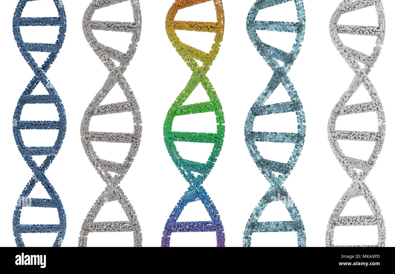 3d rendering dna helix or dna structure isolated on white Stock Photo ...