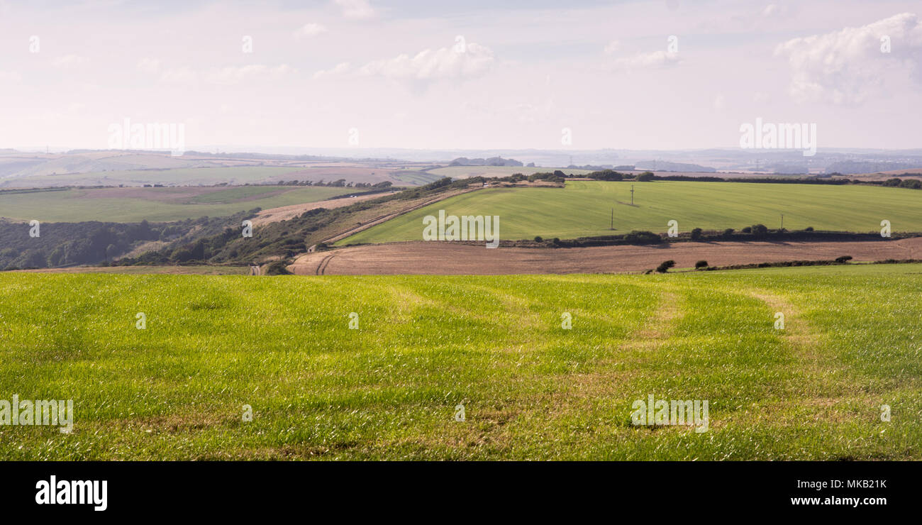 Fields of pasture and crops on the rolling landscape of the Purbeck Hills in south Dorset, England. Stock Photo