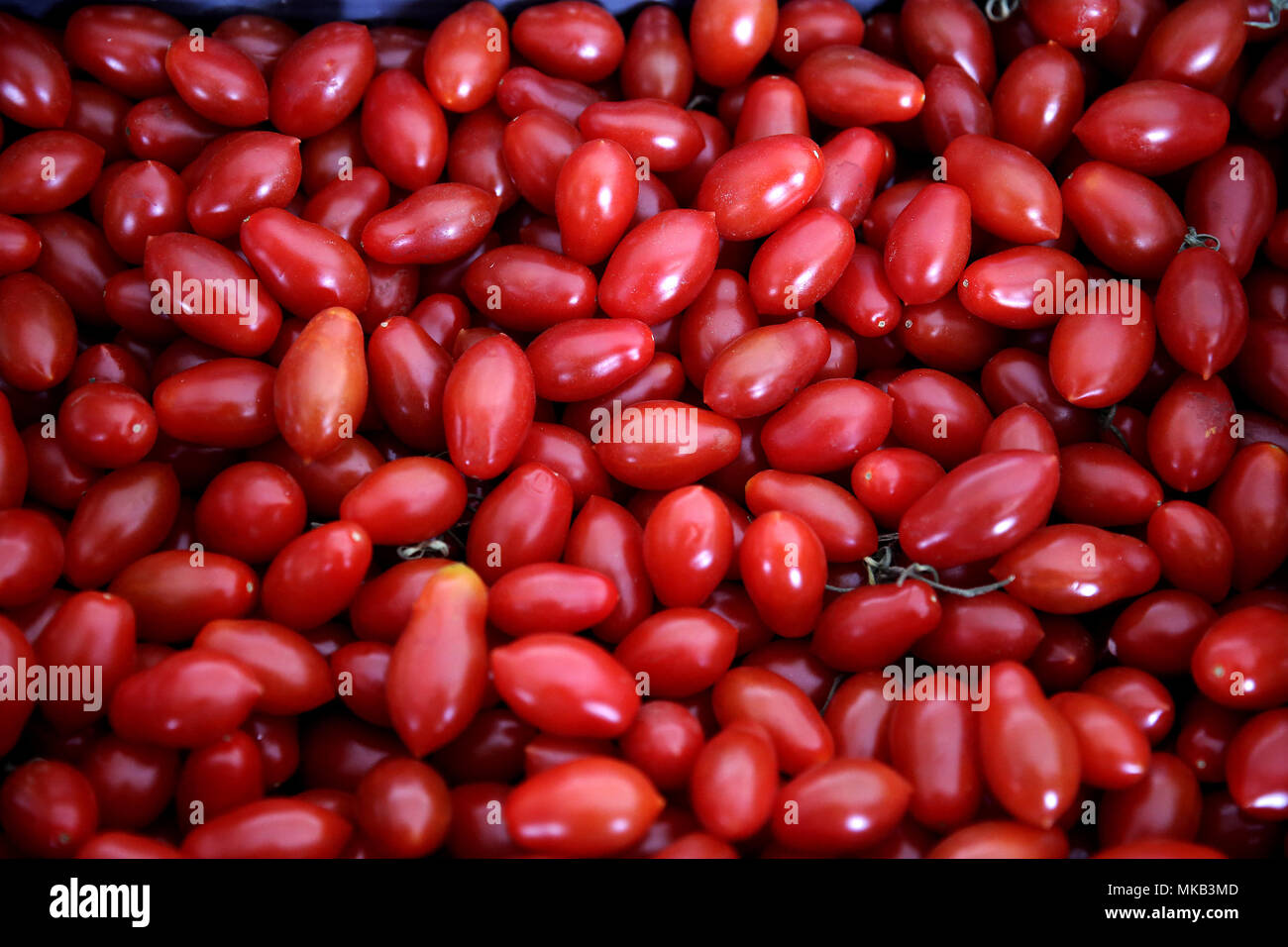 Greek red plum tomatoes in the Fruit & Vegetable Market in Athens