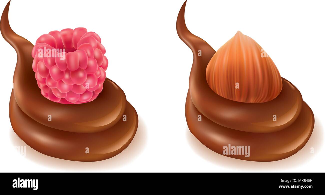 chocolate splash design with raspberry and hazelnut Stock Vector Image ...
