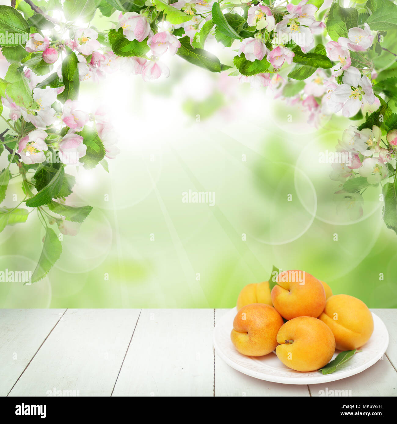 Apricot Fruit, Green Leaves, Flowers and White Empty Wooden Table on Abstract Bokeh Light Background Stock Photo