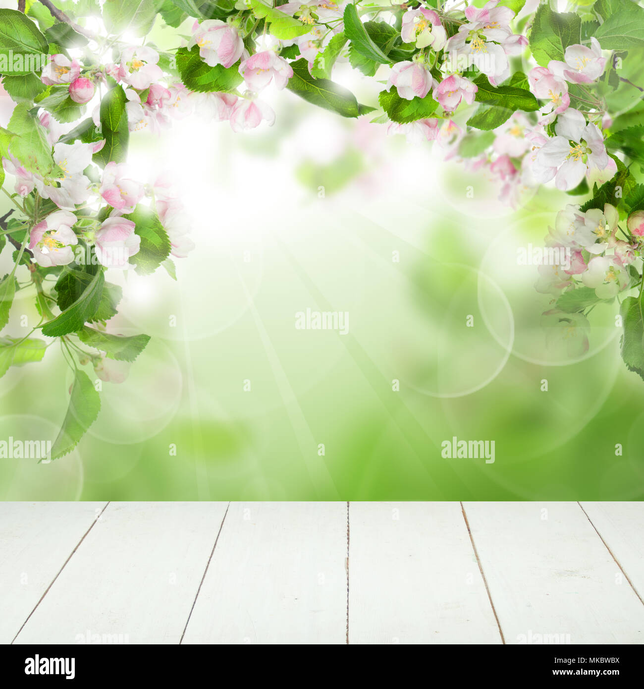 Spring Flowers, Green Leaves, Bokeh Light and White Empty Wooden Table on Spring Health Background with Copy space Stock Photo