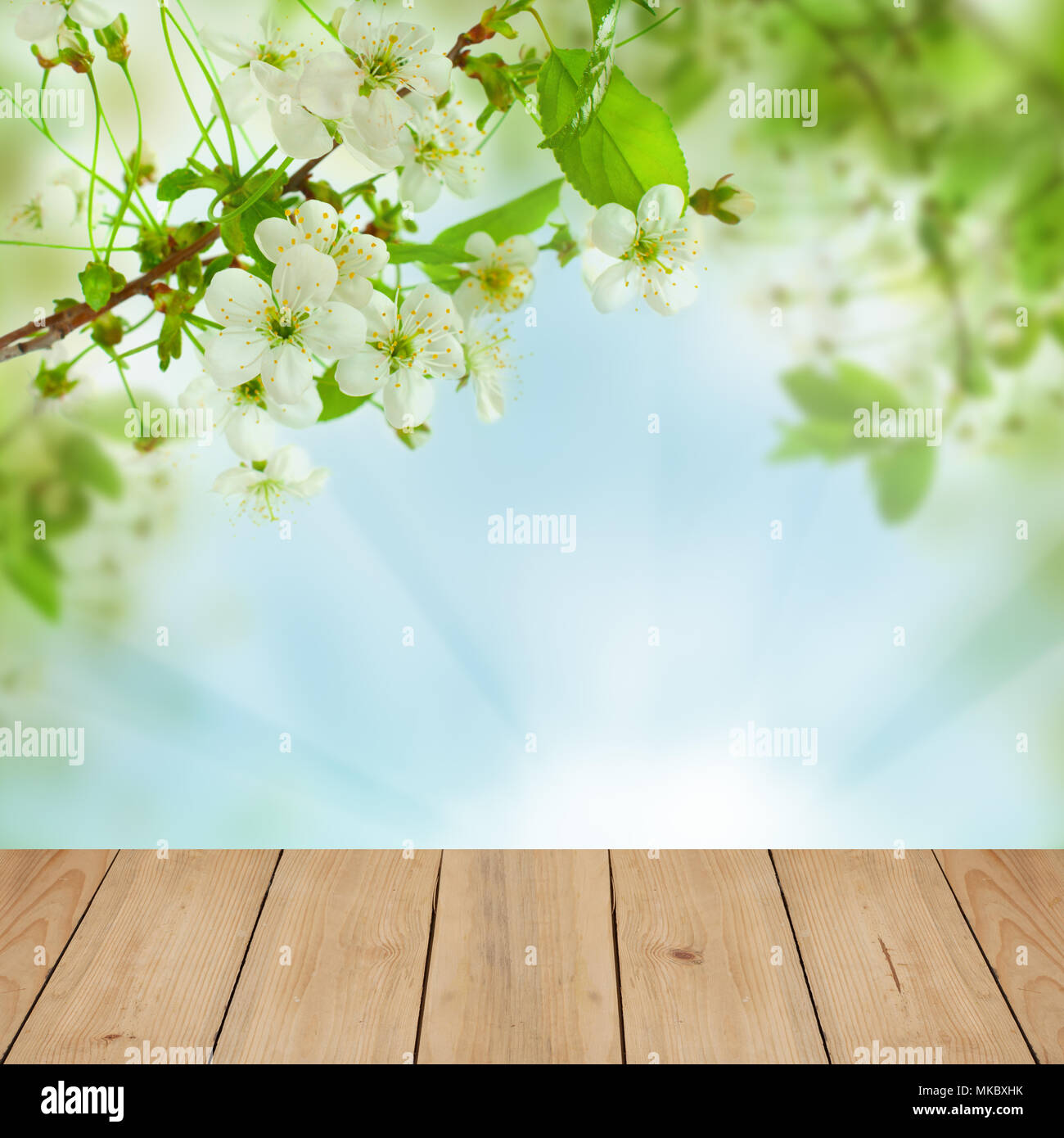 Spring Blossom Background with White Flowers, Blue Sky and Rustic Empty Wooden Table Stock Photo