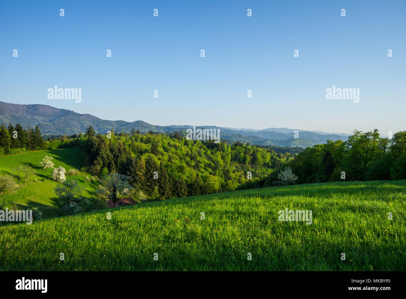 Black forest hike germany hi-res stock photography and images - Alamy
