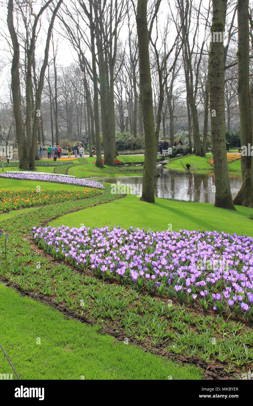 Keukenhof. The Garden of Europe Stock Photo Alamy