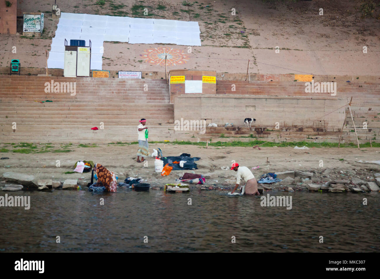 This team of laundry workers still wash clothes and hotel linen the old fashion way in the river
