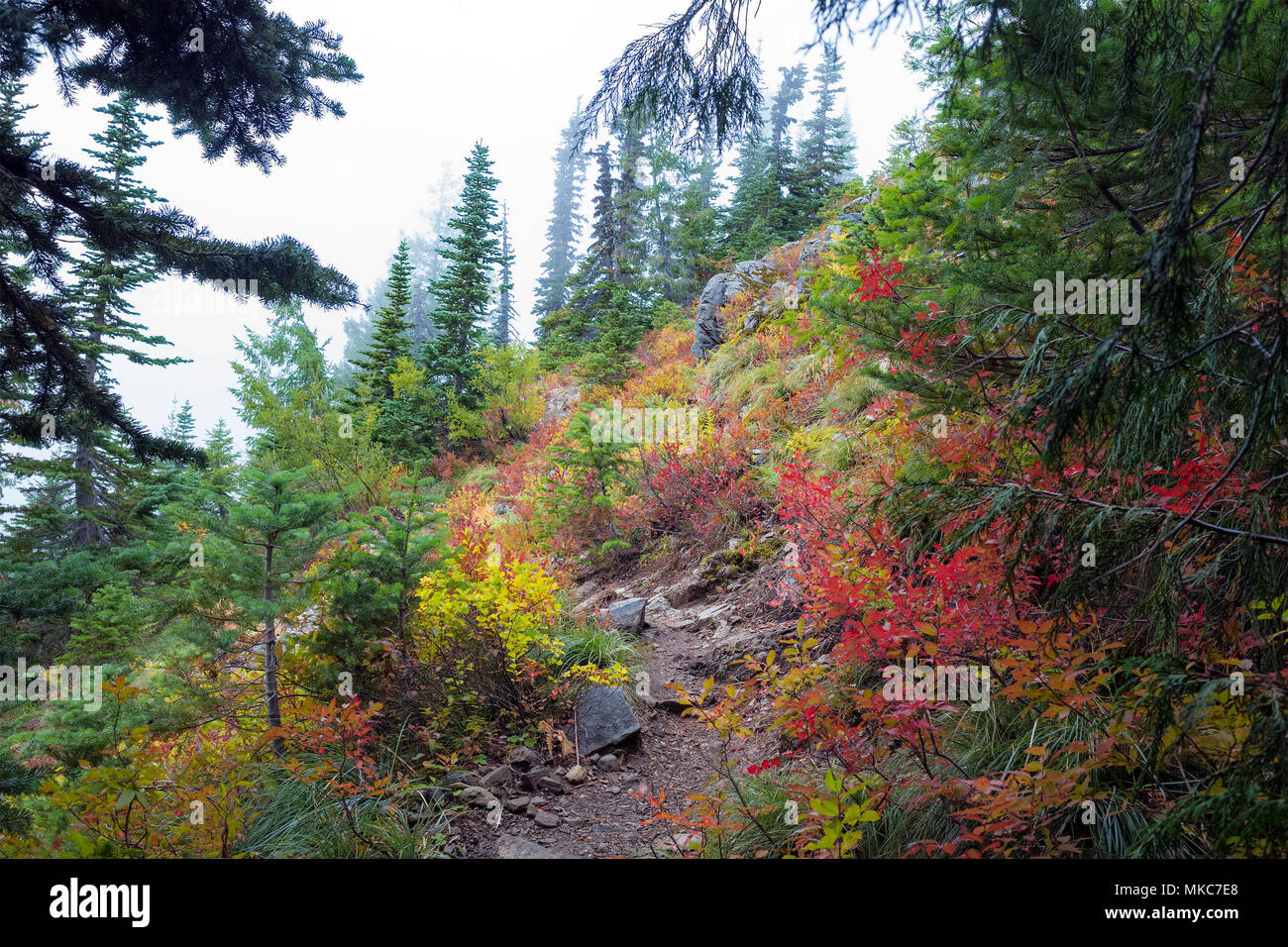 Olympic National Forest Supervisors Office Conservation Efforts