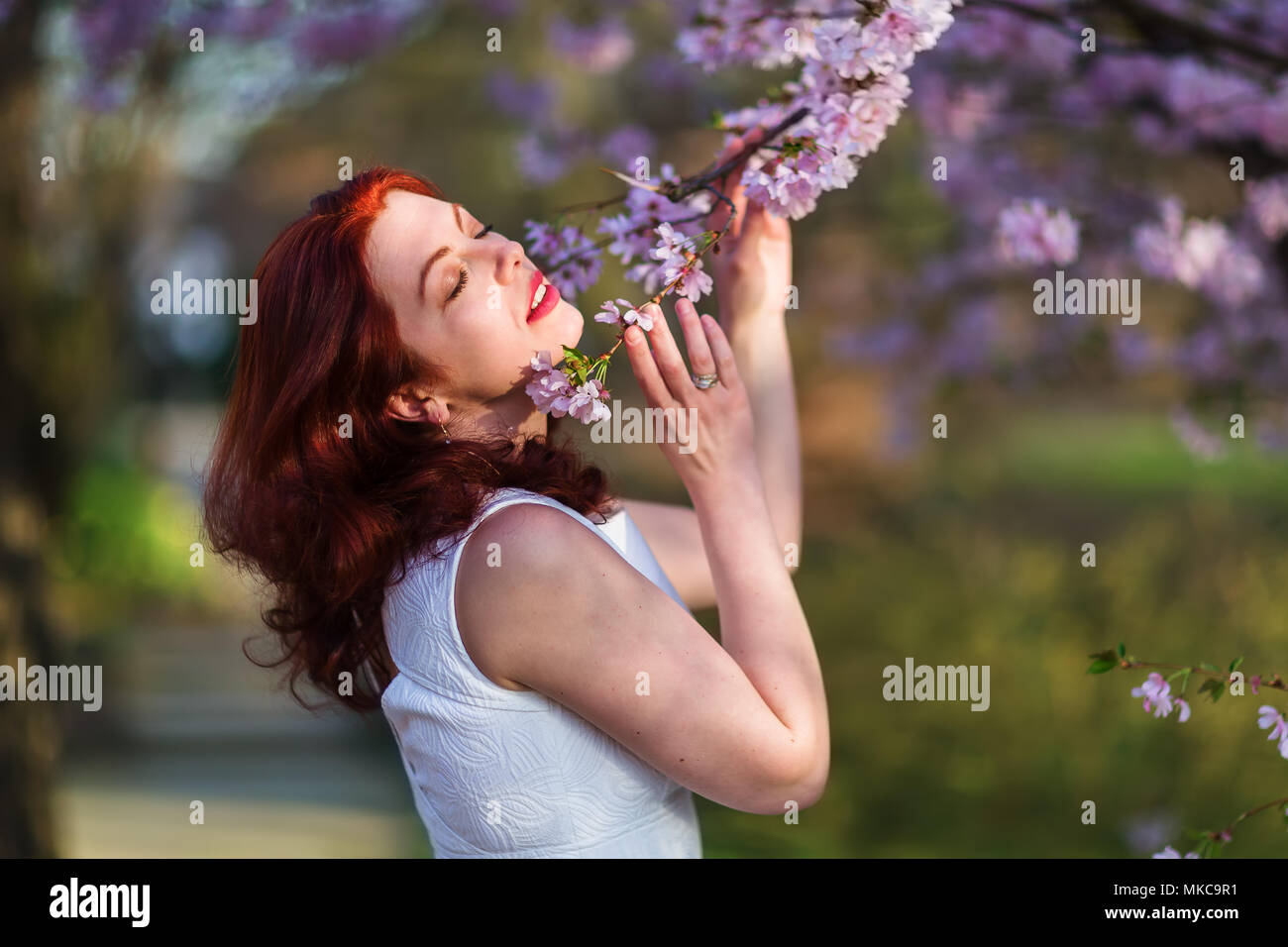 portrait of a beautiful redheaded woman at a flowering tree Stock Photo ...