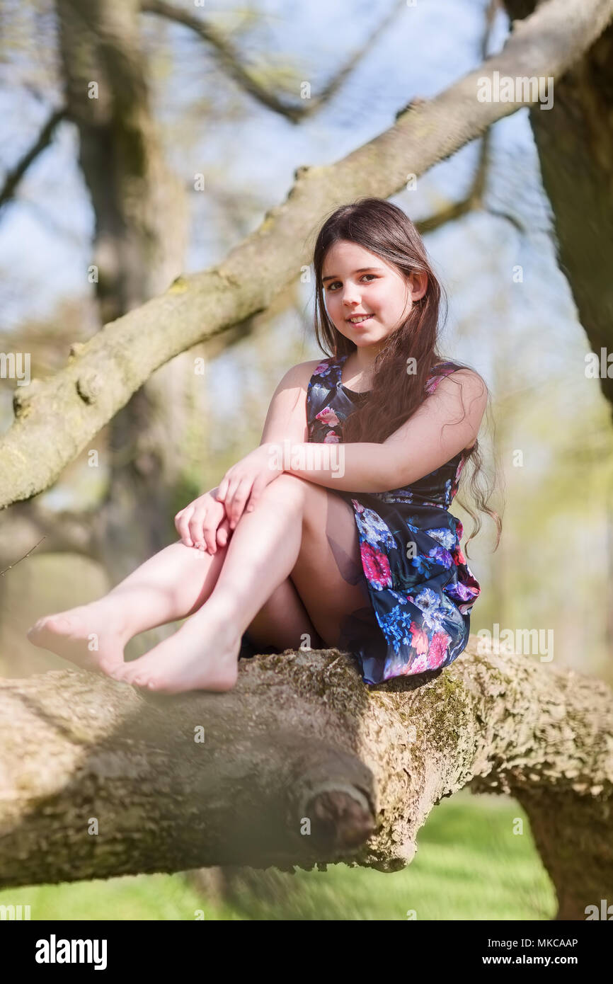 Sits in the tree hi-res stock photography and images - Alamy