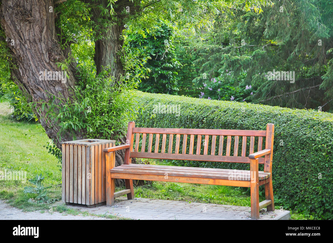 Wooden bench and waste bin under a tree in a park Stock Photo Alamy